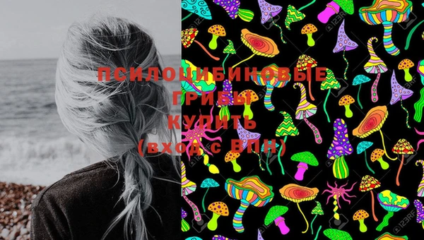 дживик Россошь