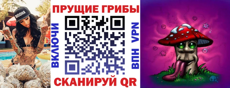 Галлюциногенные грибы Psilocybine cubensis  Купить  Усинск 